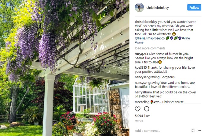 Celebrity Homes: Peek Inside Christie Brinkley's Garden