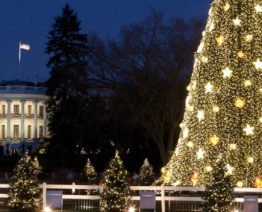 Most Amazing Celebrity Christmas Trees